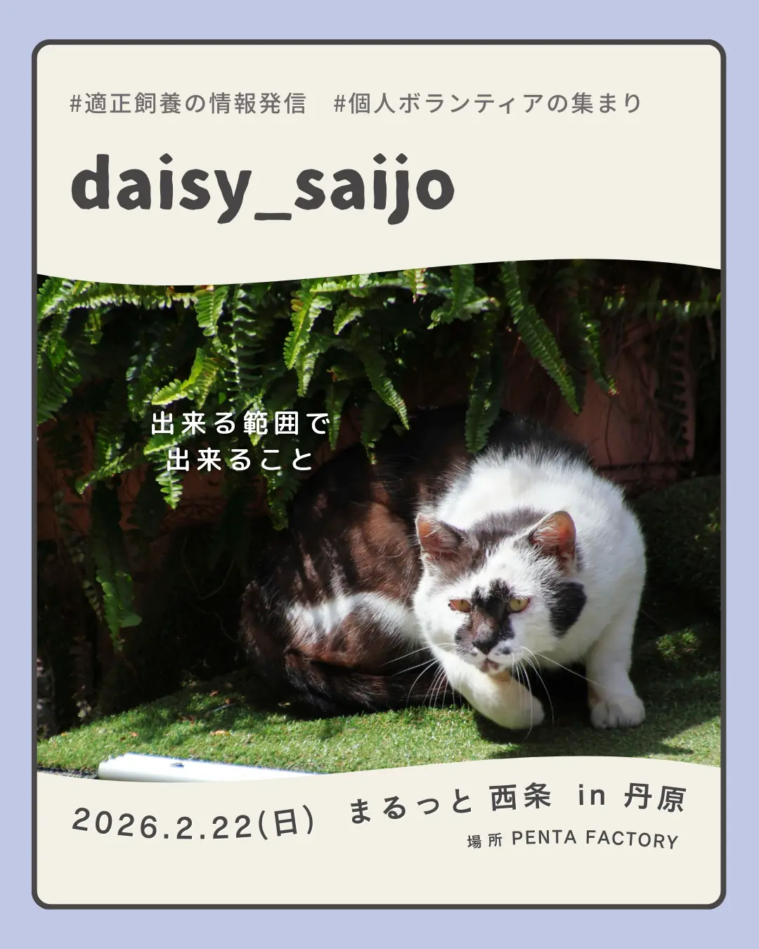 daisy_saijo
