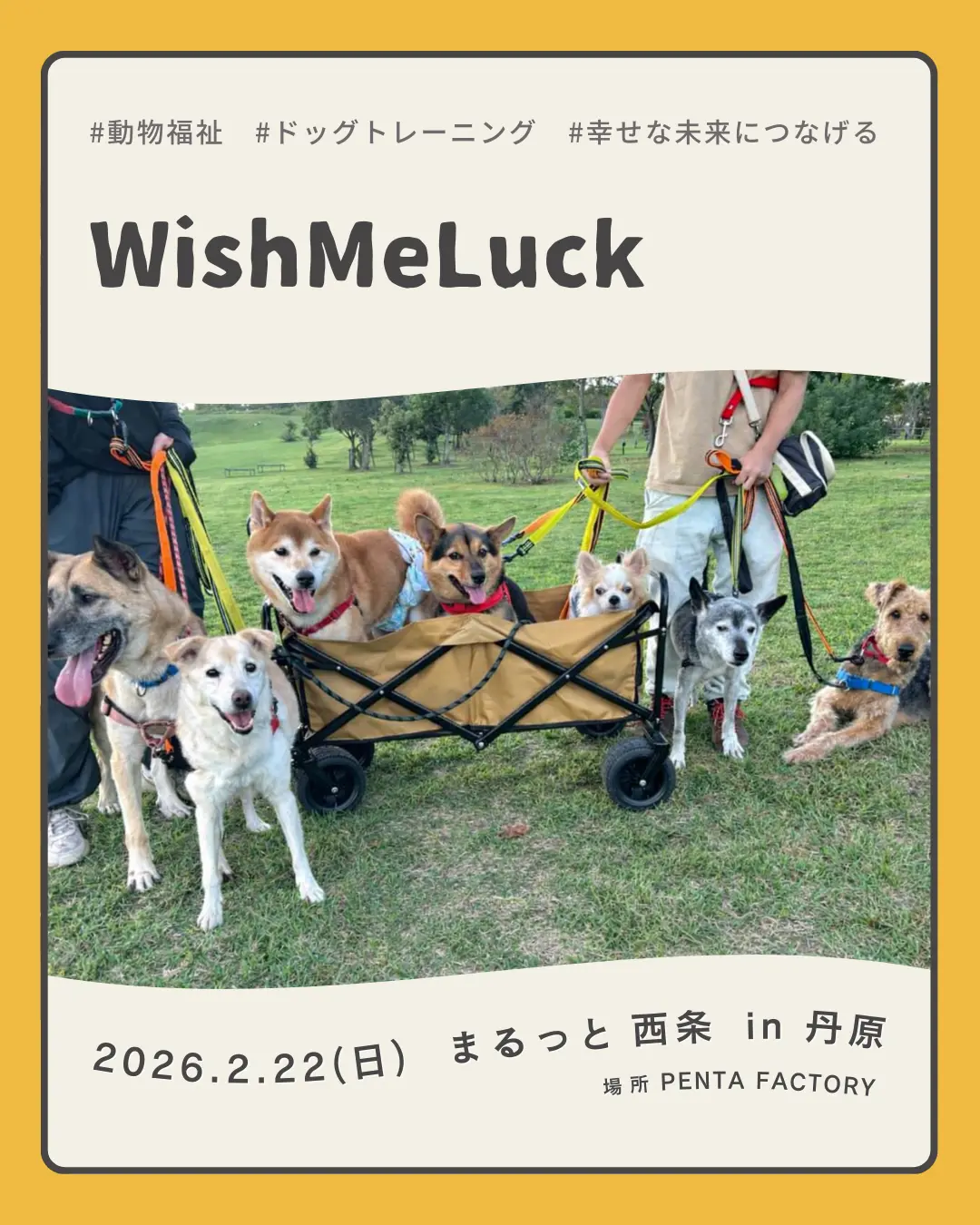 WishMeLuck（ウィッシュミーラック）